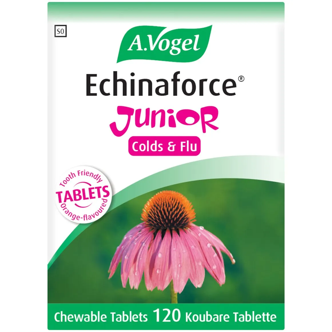 A.Vogel Echinaforce Junior Chewable Tablets 120 pk