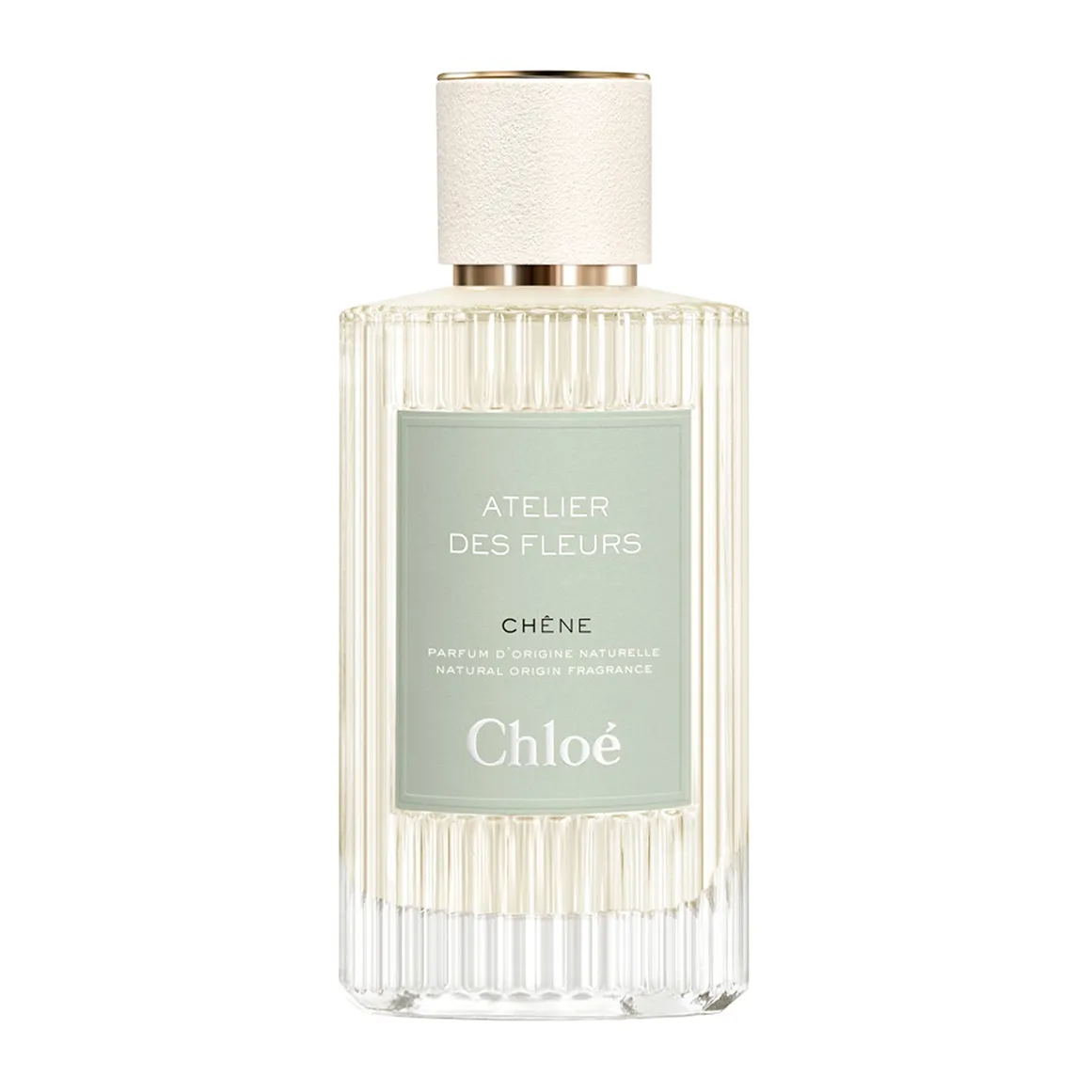 Atelier des Fleurs Chêne Eau de Parfum for Women - 150ml