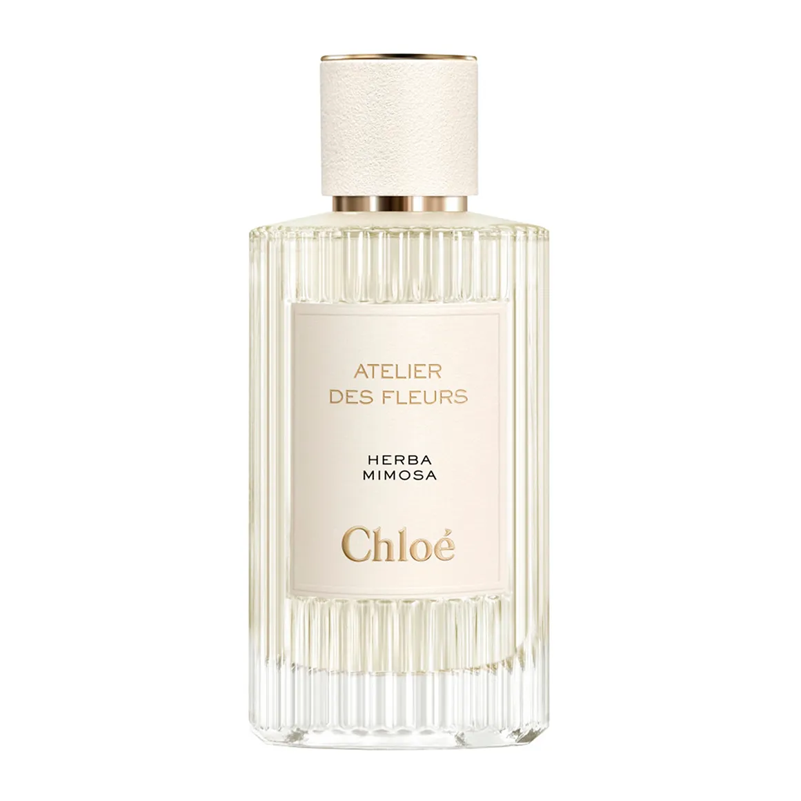 Atelier des Fleurs Herba Mimosa Eau de Parfum for Women - 150ml