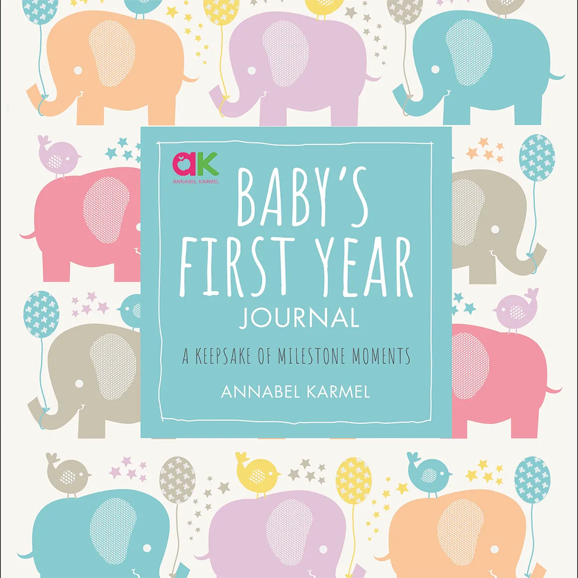 Baby's First Year Journal
