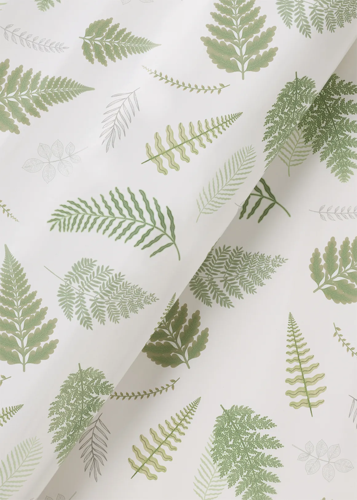 Botanic Muse Gift Wrap 1 m x 700 mm - GREEN