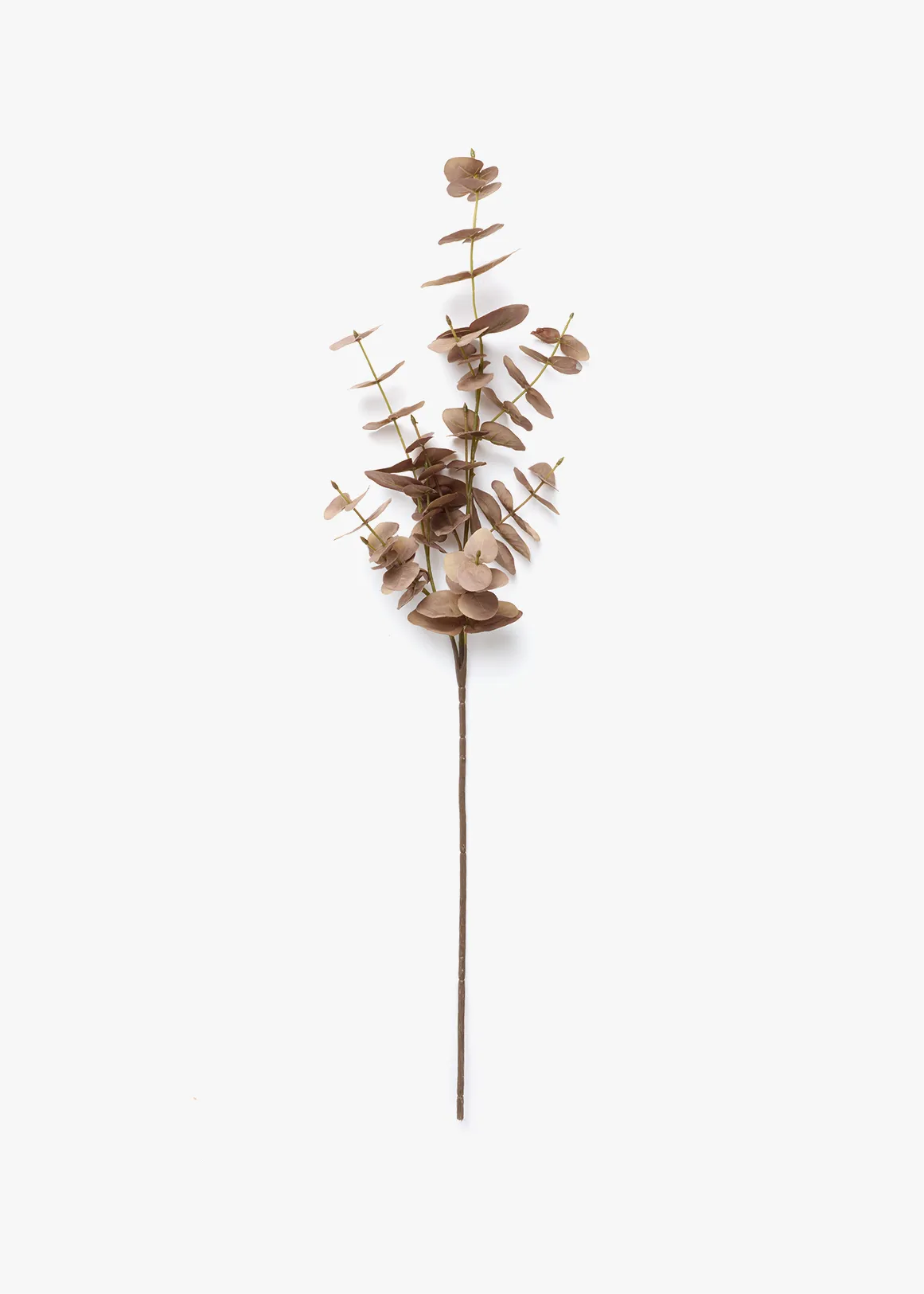 Eucalyptus Faux Plant - CHOCOLATE