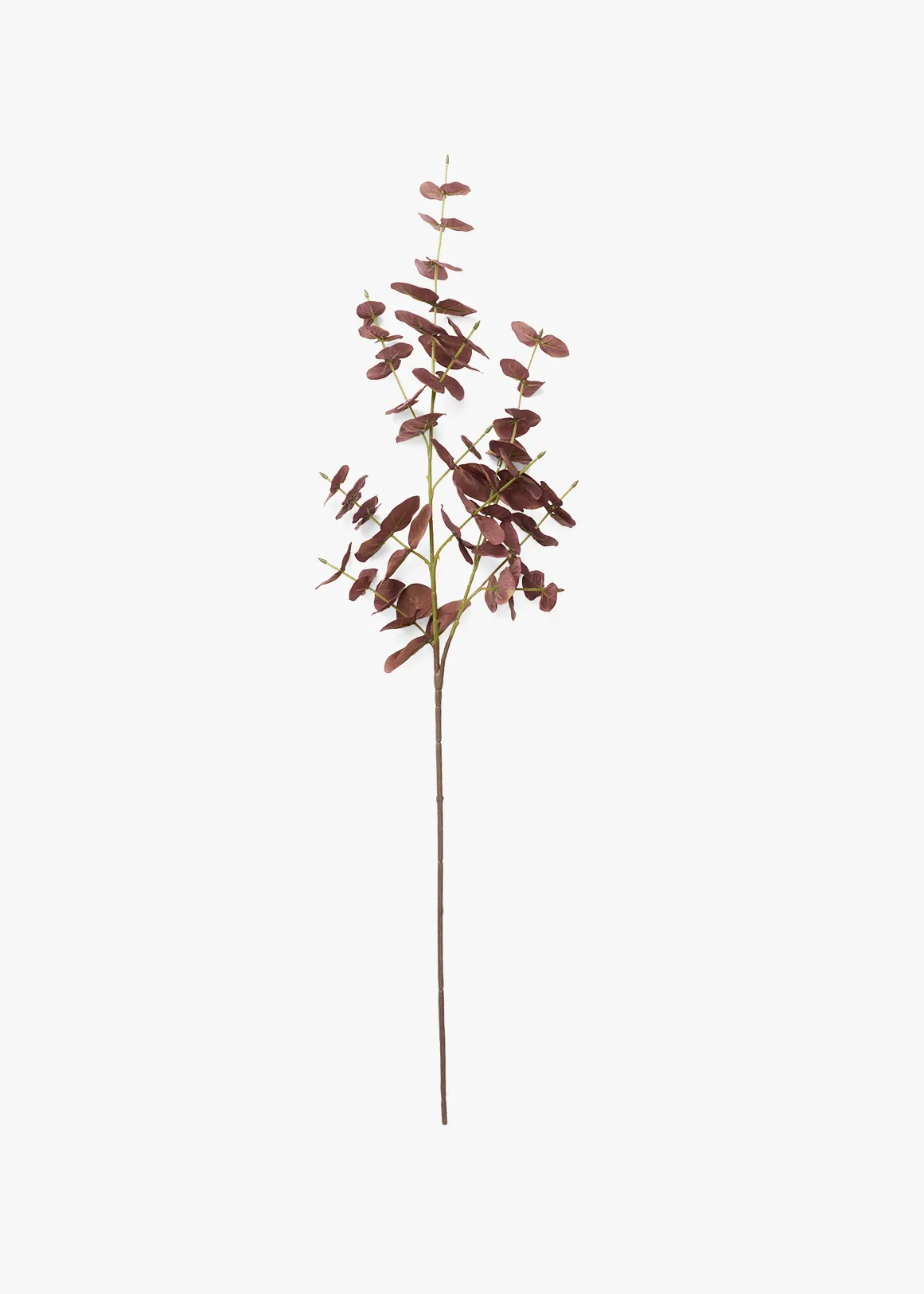 Eucalyptus Faux Plant - PLUM