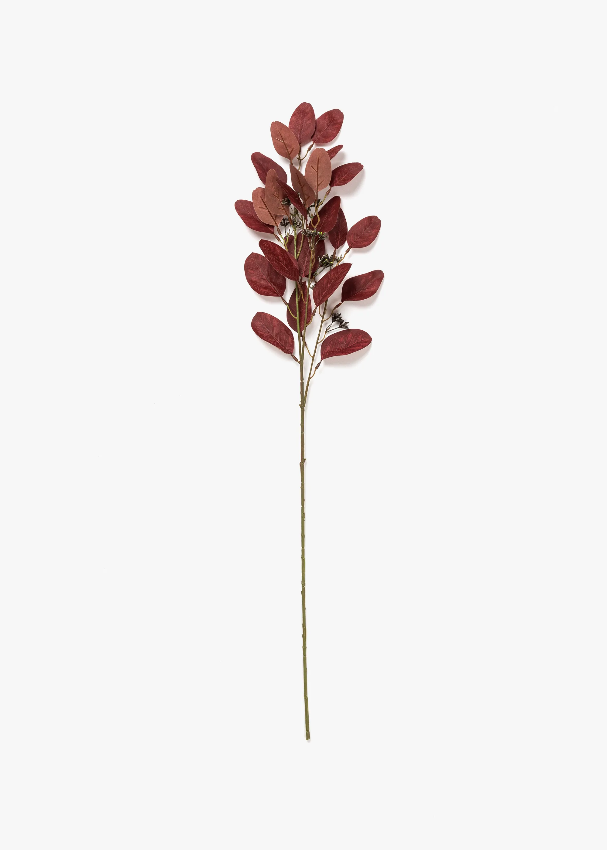 Eucalyptus Stem - BURGUNDY