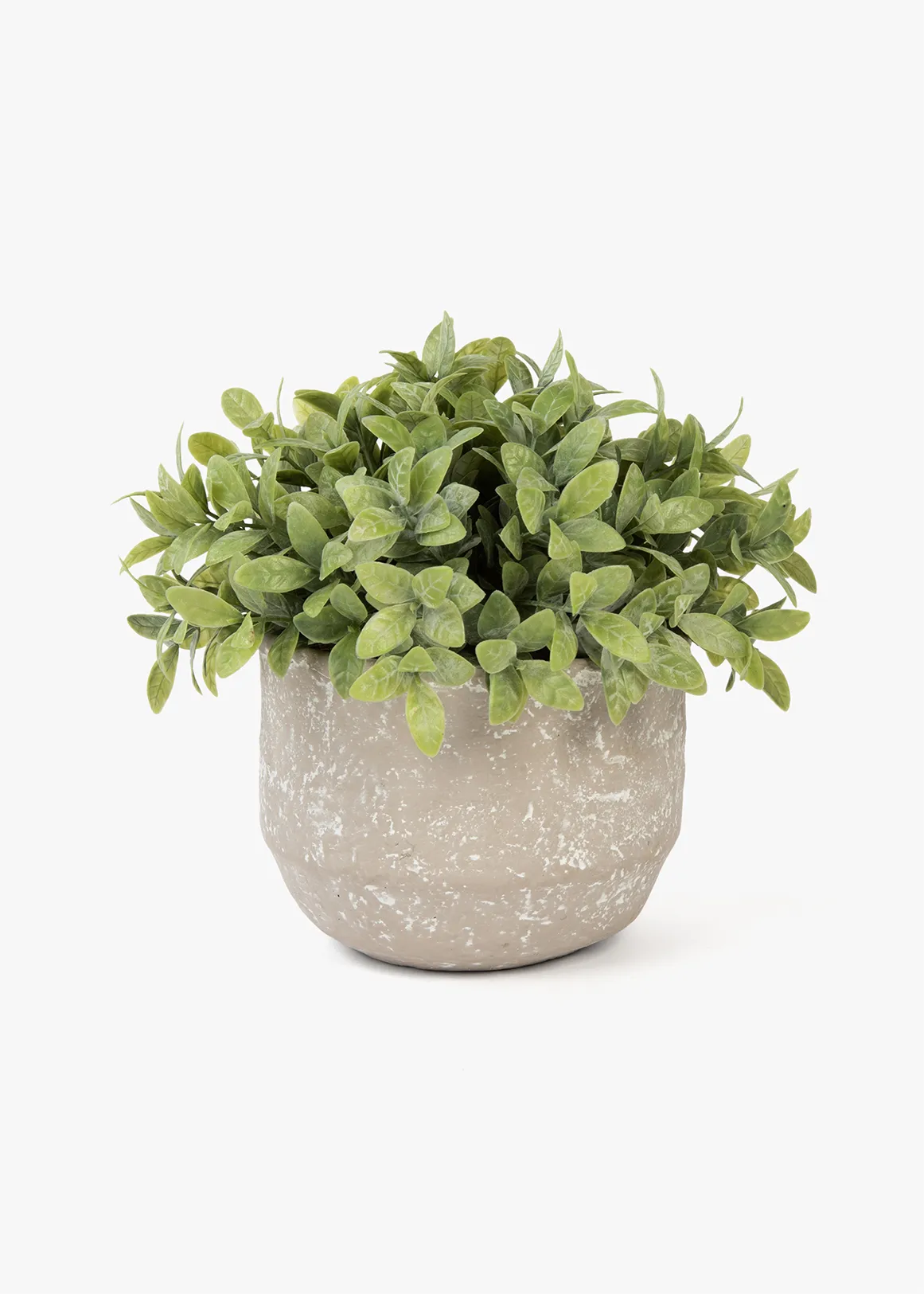 Faux Plant in Large Cement Pot - X GREY
