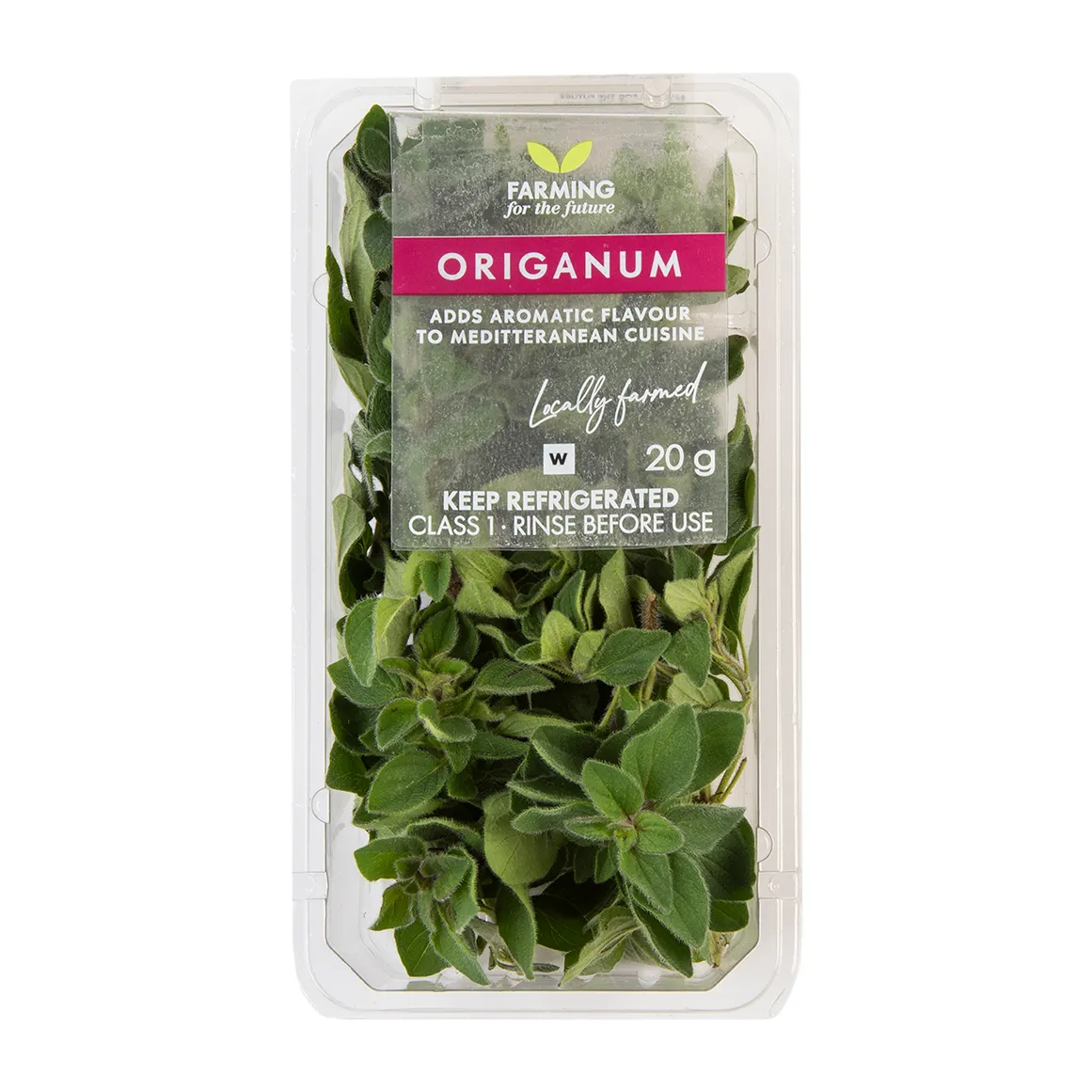 Fresh Origanum 20 g