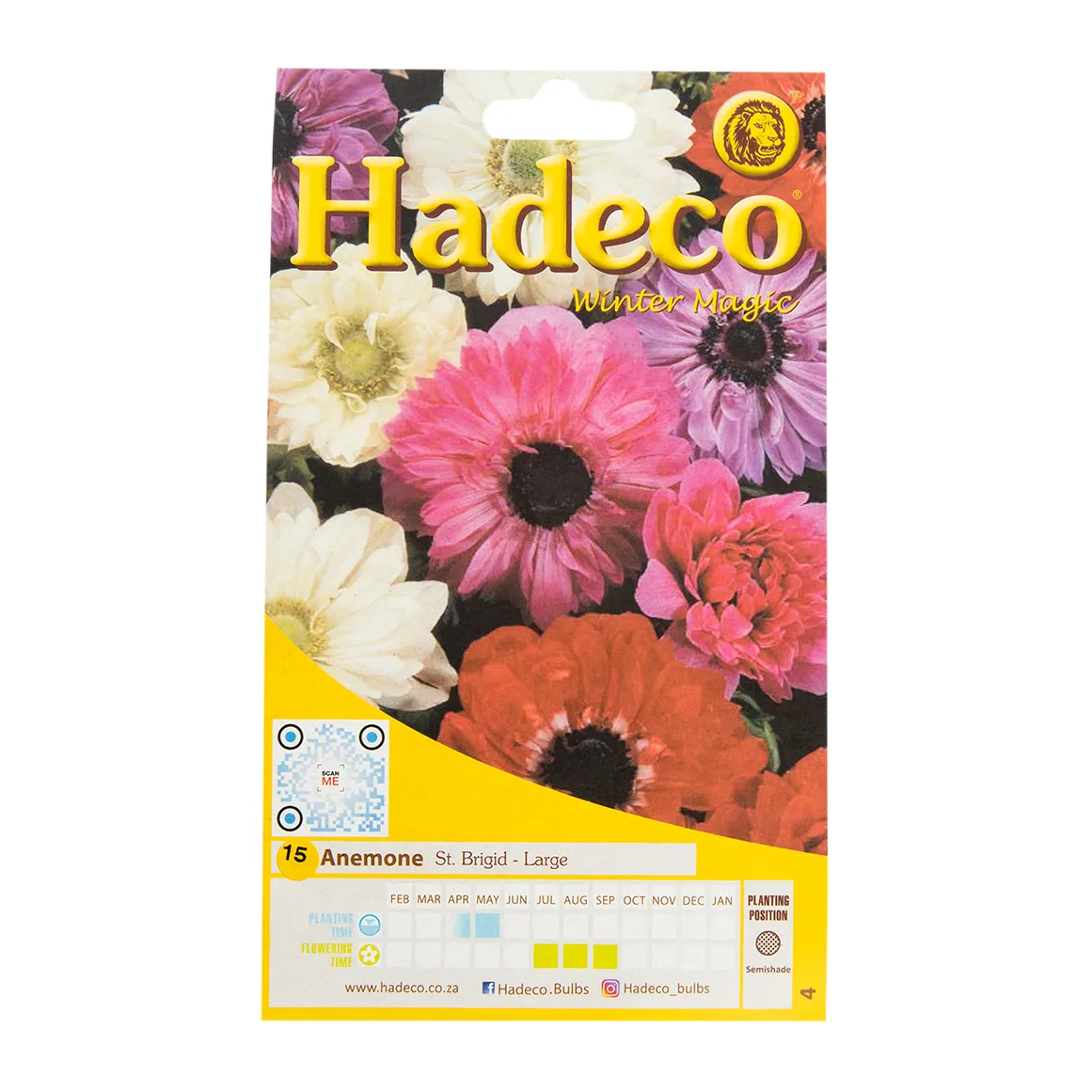 Hadeco Anemone Large Bulbs 15 Pk