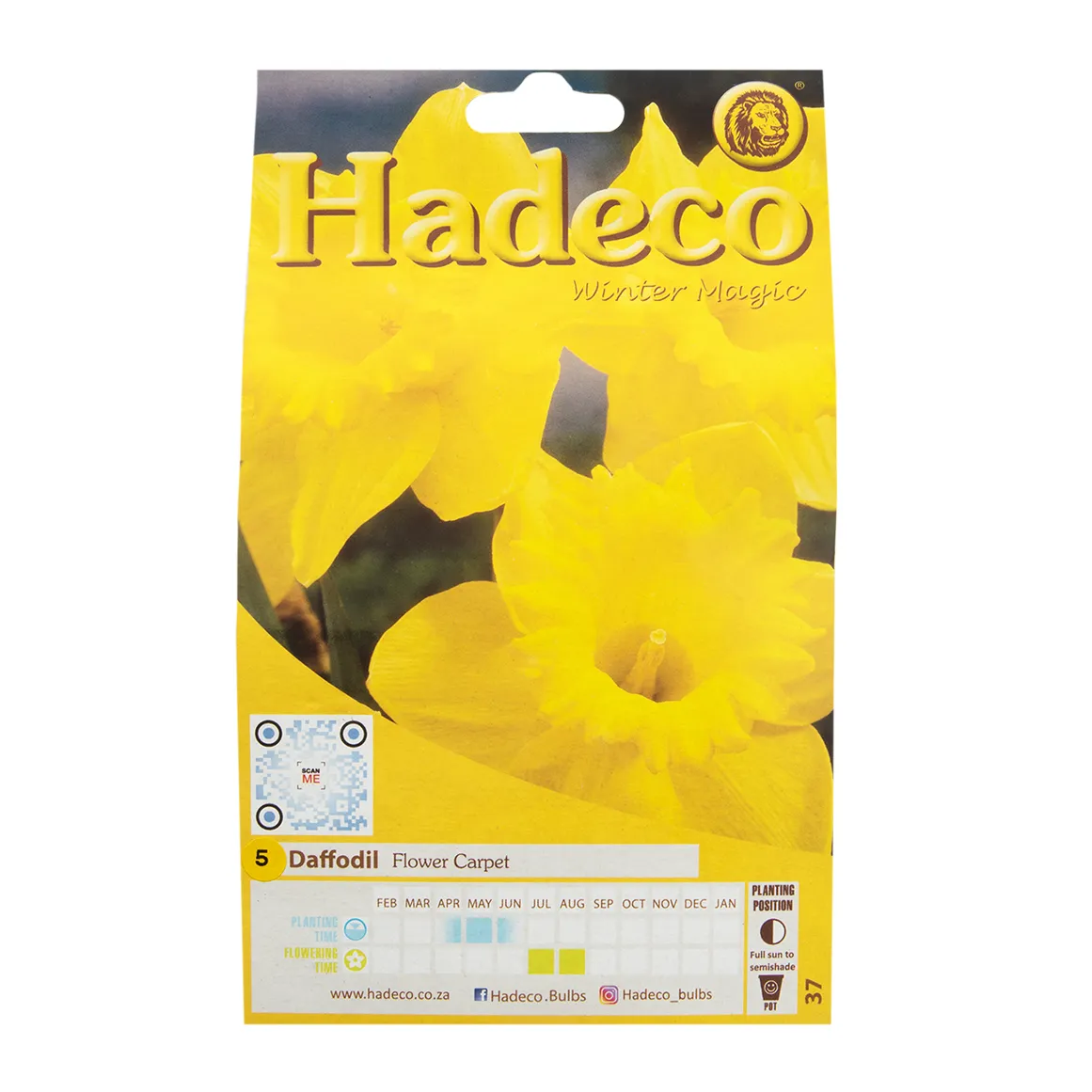 Hadeco Daffodil Flower Carpet Bulbs 5 pk