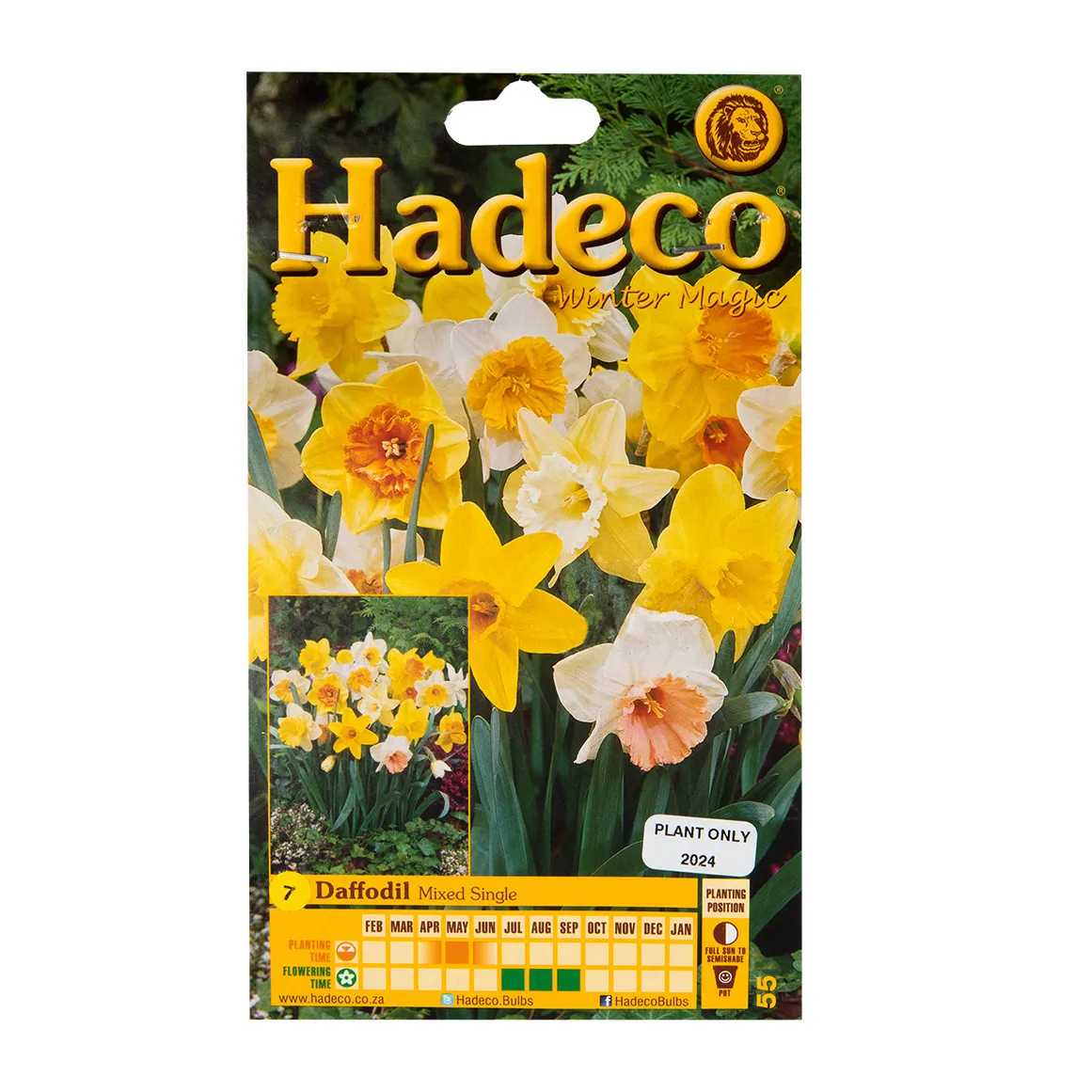 Hadeco Daffodil Mixed Colours Single Bulbs 7 pk