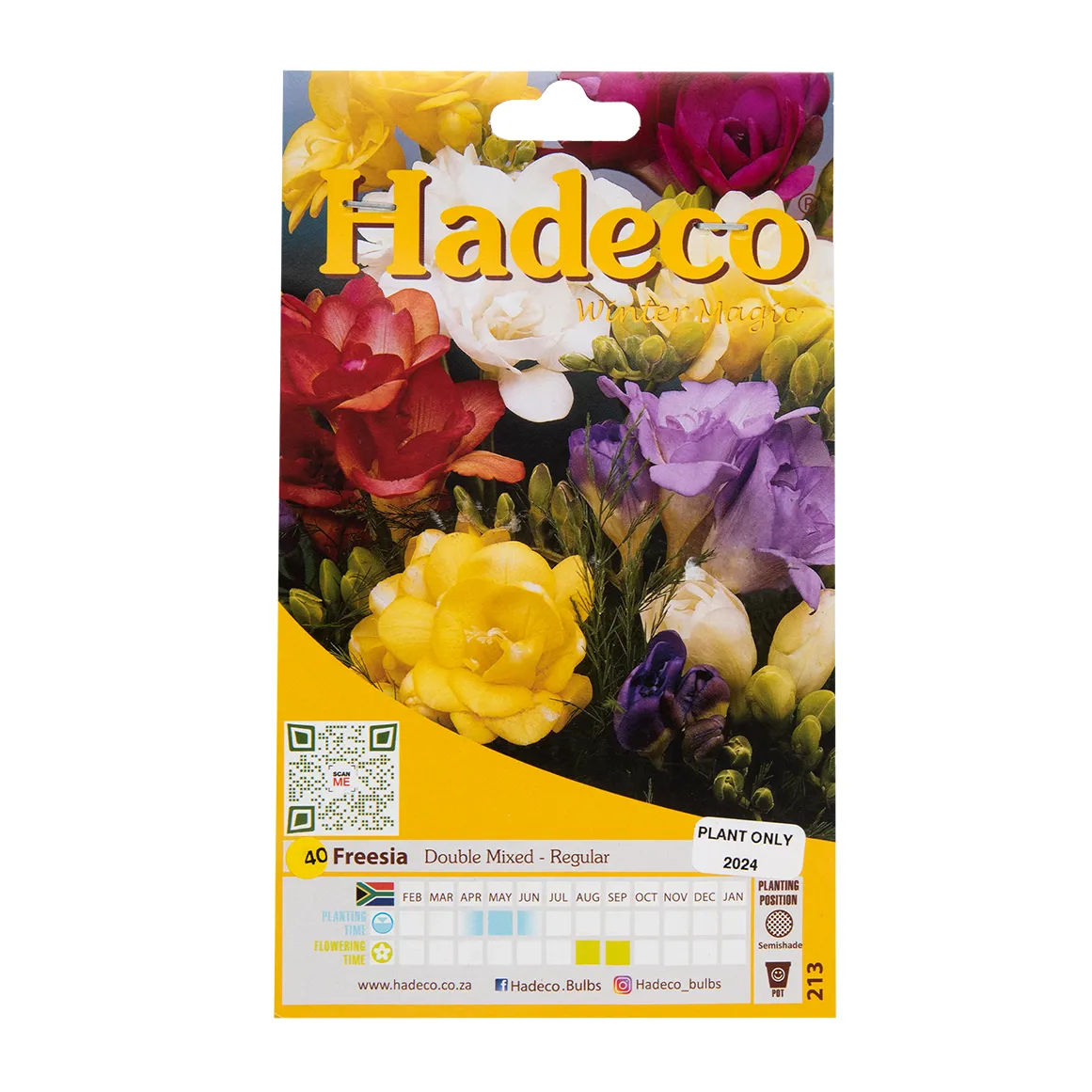 Hadeco Freesia Double Mixed Regular Bulbs 40 pk