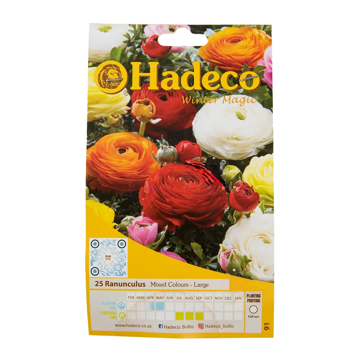 Hadeco Ranunculus Mixed Colours Regular Bulbs 25 pk