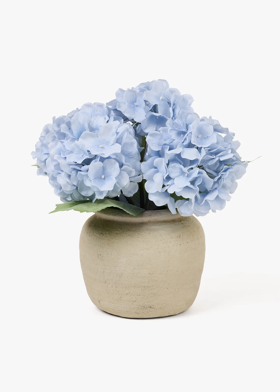 Hydrangea in Ceramic Pot - BLUE