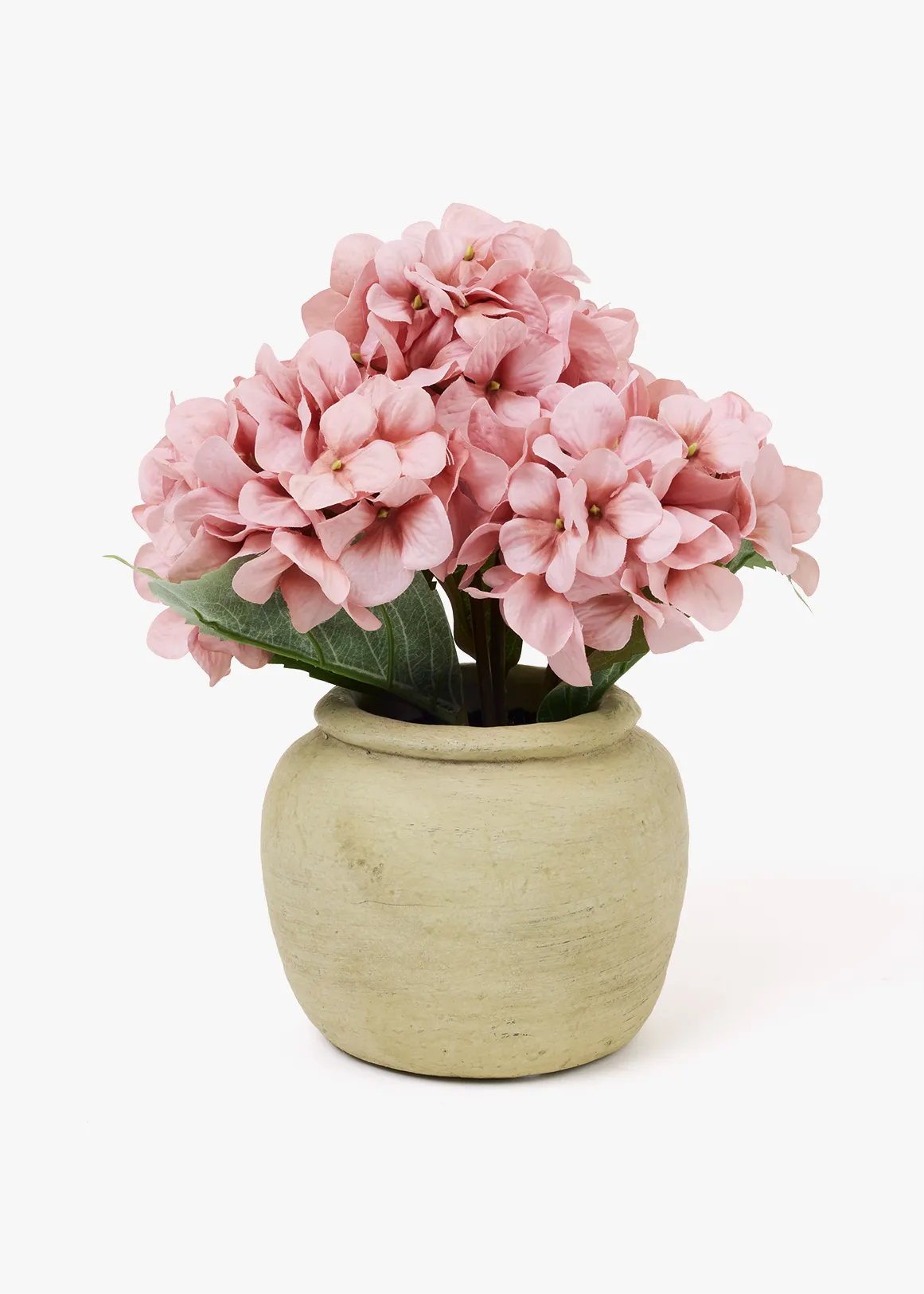 Hydrangea in Ceramic Pot - X PINK