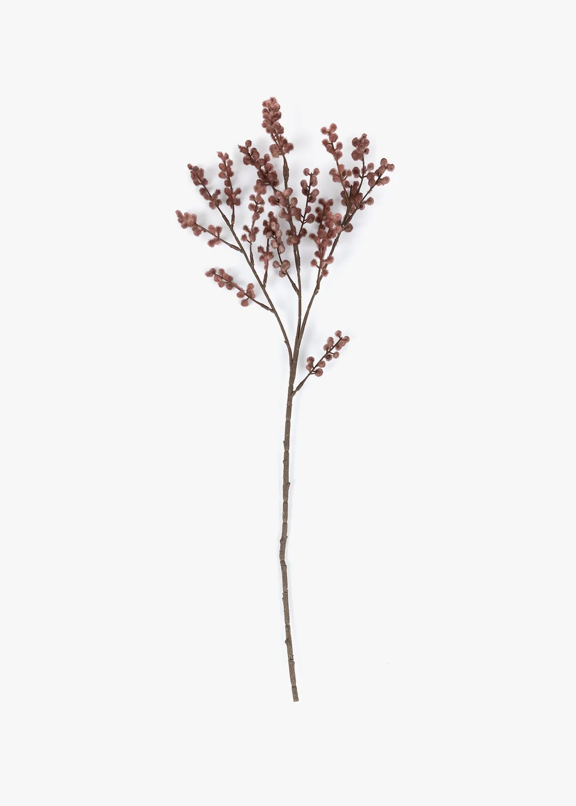 Mimosa Stem - PLUM