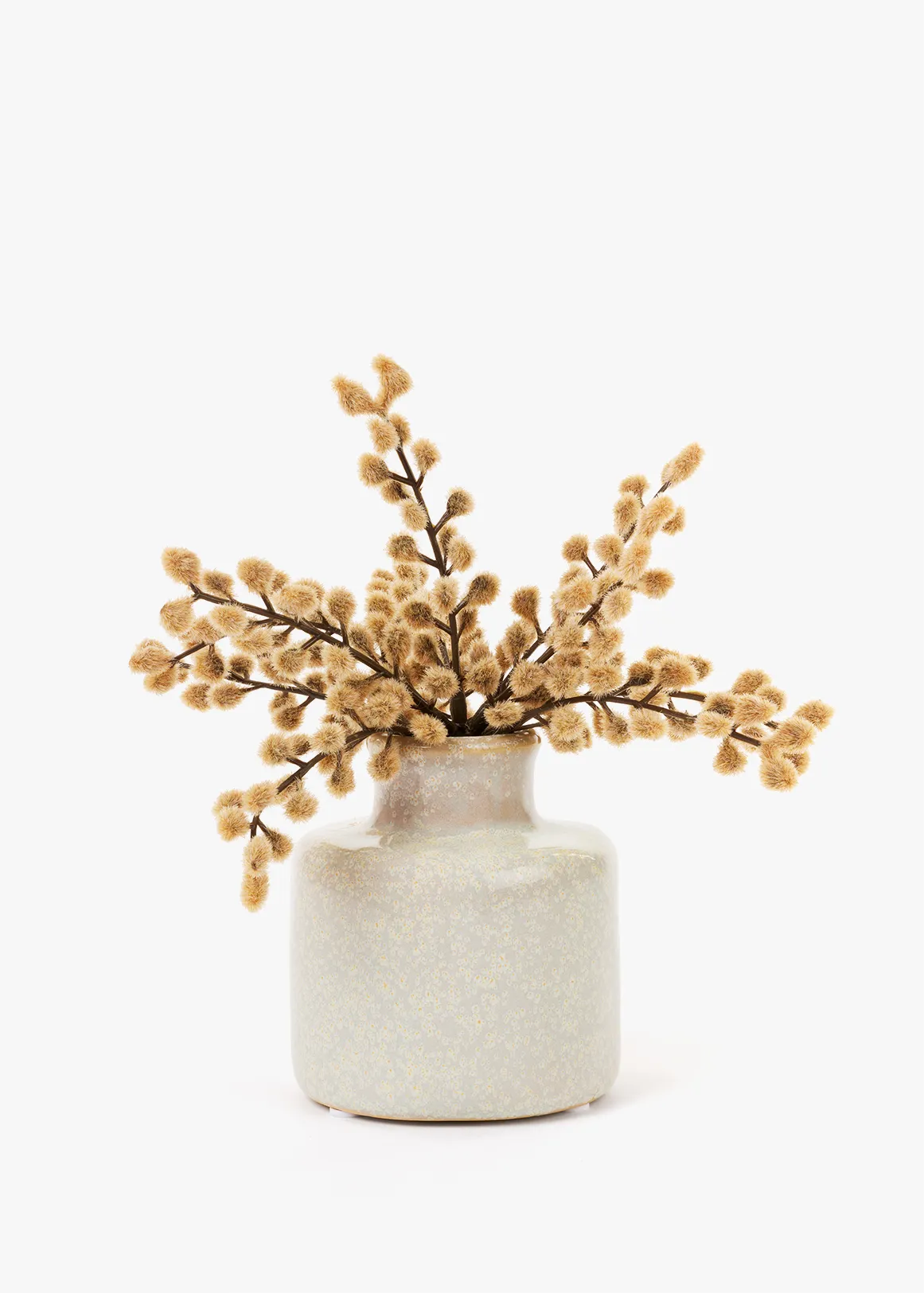 Mimosa in Small Ceramic Pot - CAMEL