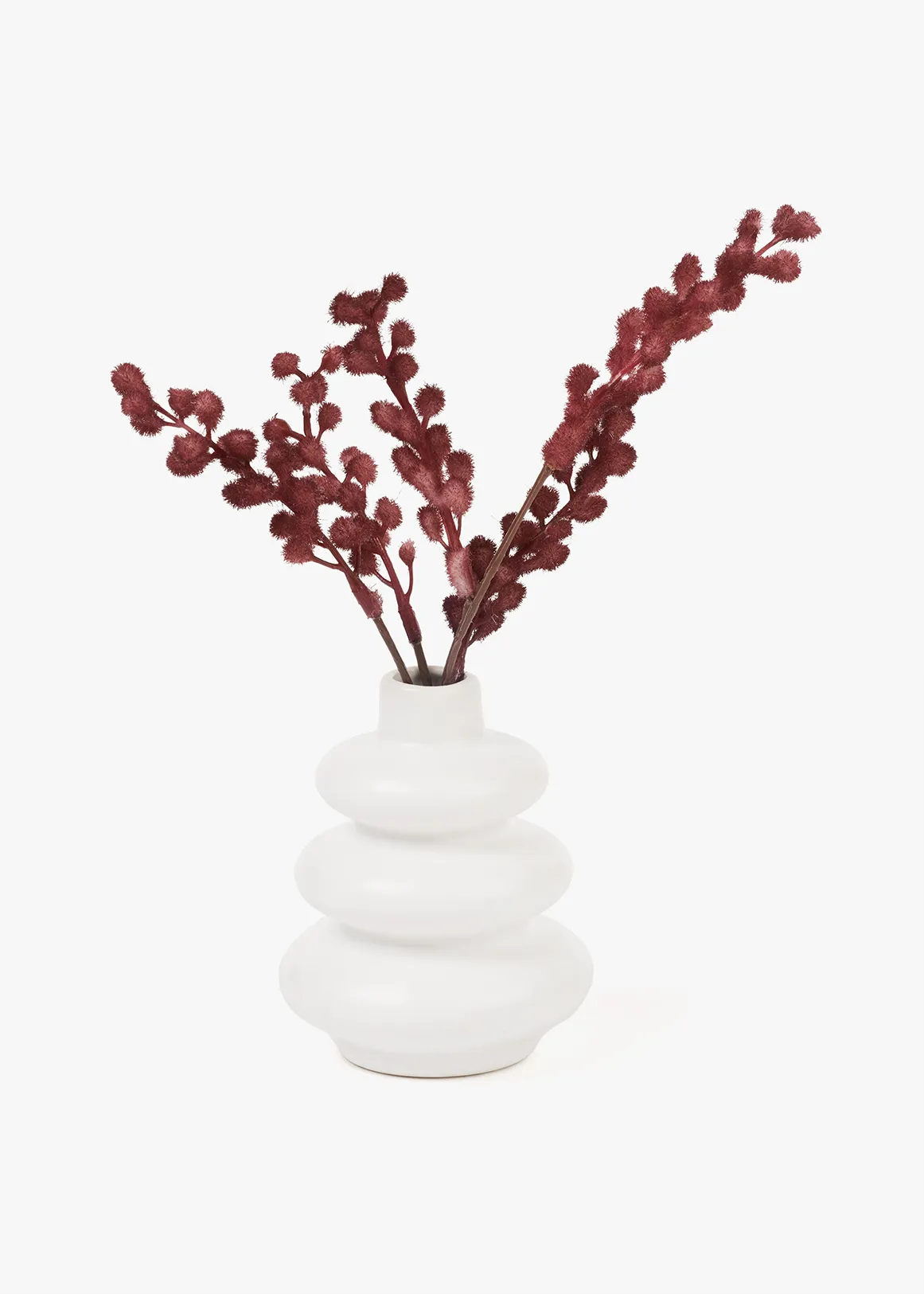 Mini Mimosa in Tiered Ceramic Pot - WINTER PLUM