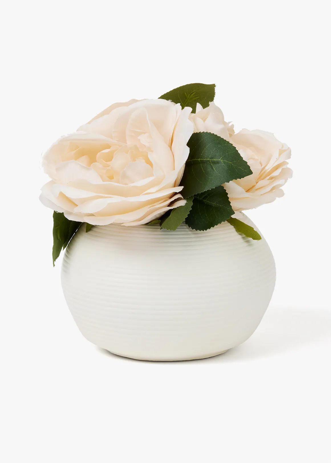 Peony in Ribbed Ceramic Pot - X PINK