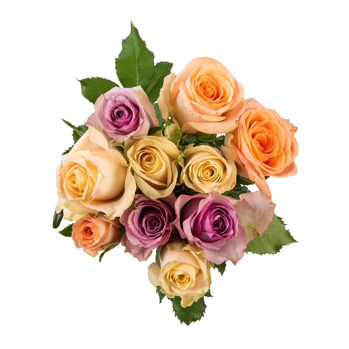 Rose Selection