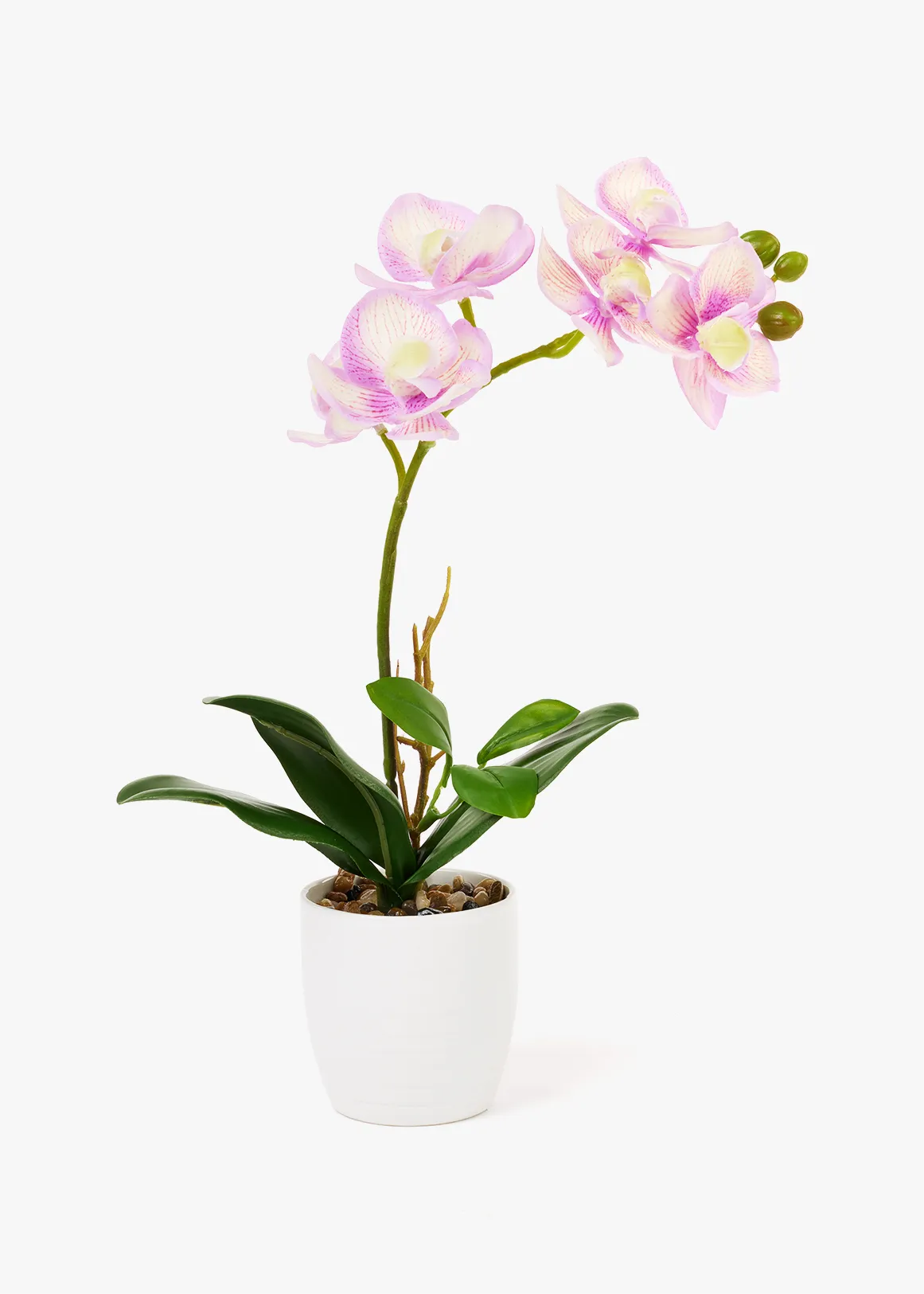 Small Orchid Pot - X PURPLE
