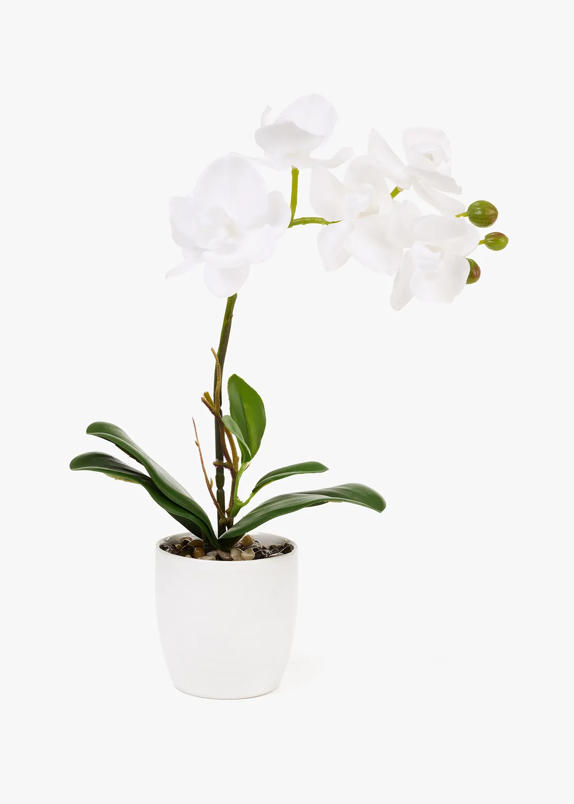 Small Orchid Pot - X WHITE