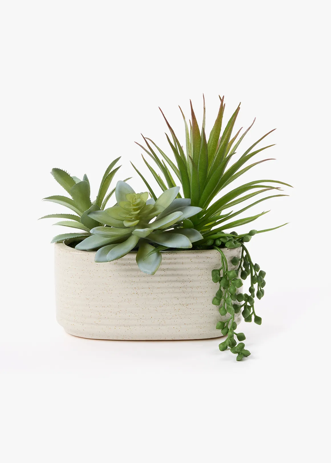 Succulent Arrangement in Ceramic Pot - WHITE