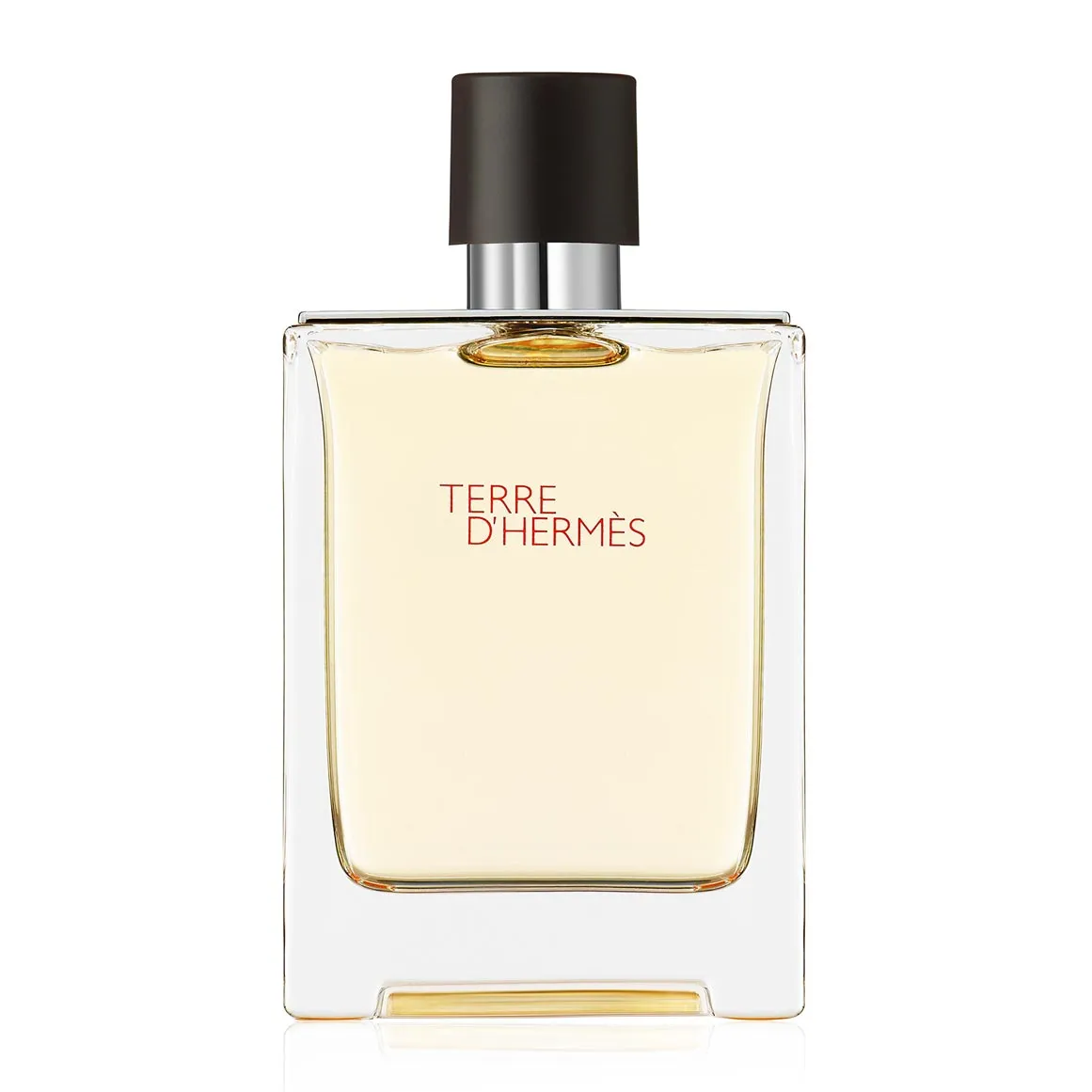 Terre d'Hermès Eau de Toilette - 100ml