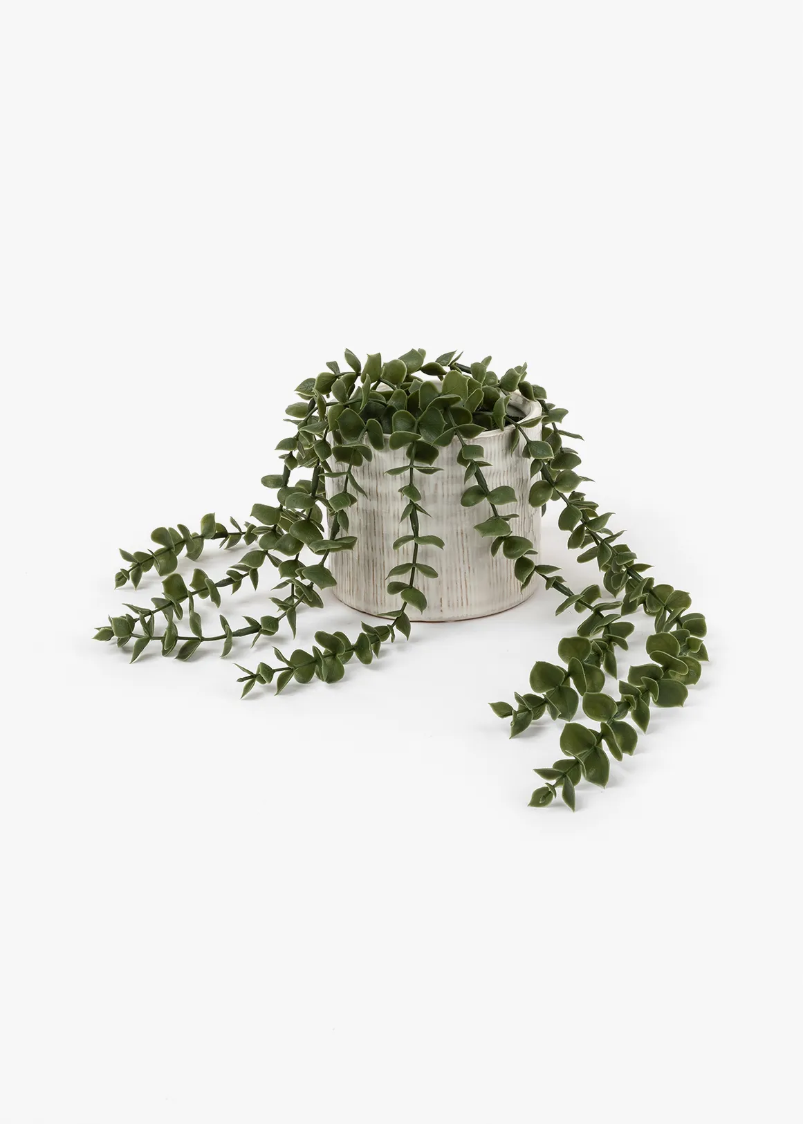 Trailing String Of Hearts in Textured Ceramic Pot - WHITE