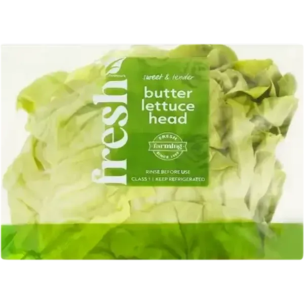 Butter Lettuce Head 1s