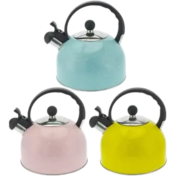 Basic Colour Stainless Steel Whistling Kettle 2.5L (Colour May Vary)