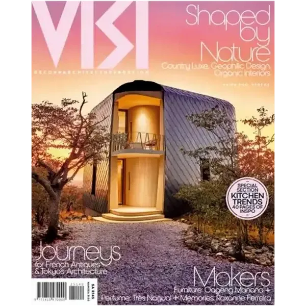 VISI Magazine (Cover May Vary)