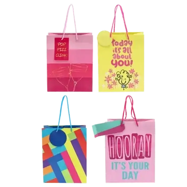 Creative Stationery Medium Gift Bag (Design May Vary)