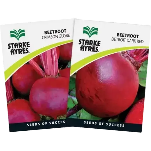 Starke Ayres Beetroot Variety Vegetable Seeds