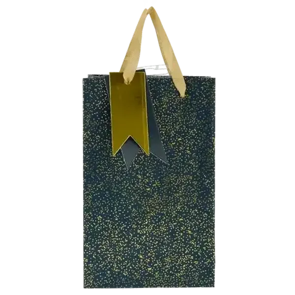 Generic Small Foil Gift Bag