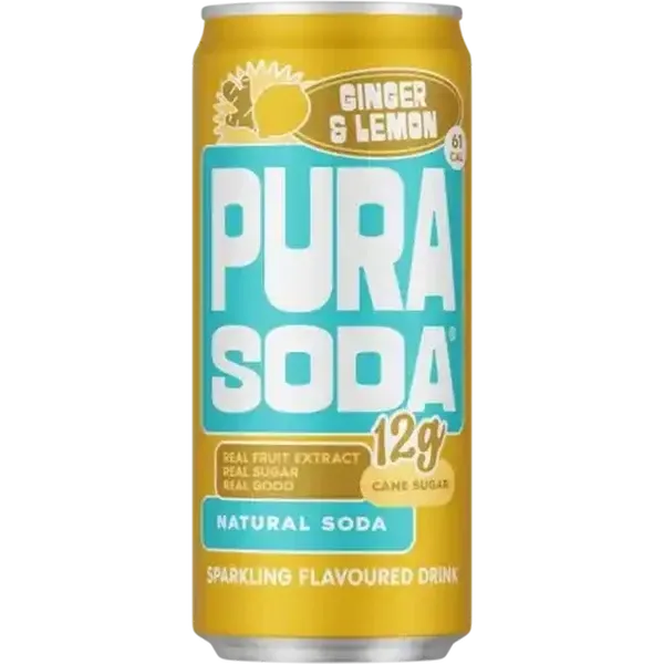 PURA Soda Ginger & Lemon Flavoured Sparkling Drink 300ml