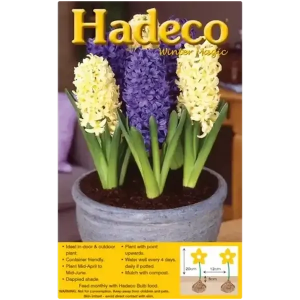 Hadeco Mixed Hyacinth Bulbs 4 Pack