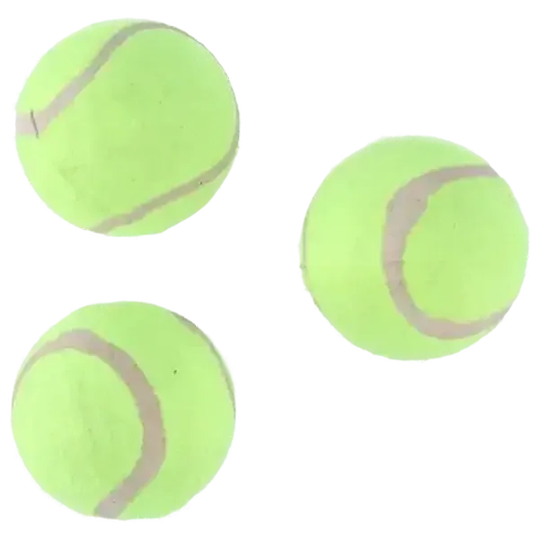 Lion Yellow Tennis Balls 3-Pack