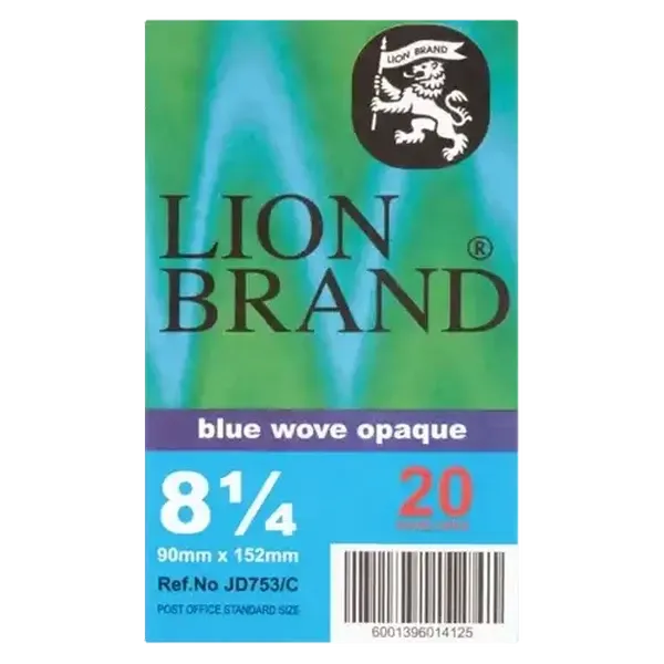 Lion Brand JD 753 Bank Envelopes 20-Pack