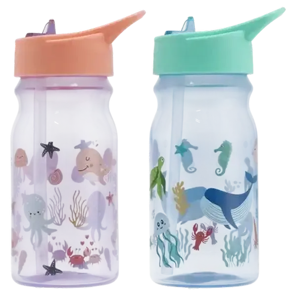 Animals Bottle with Straw 480ml (Design May Vary)