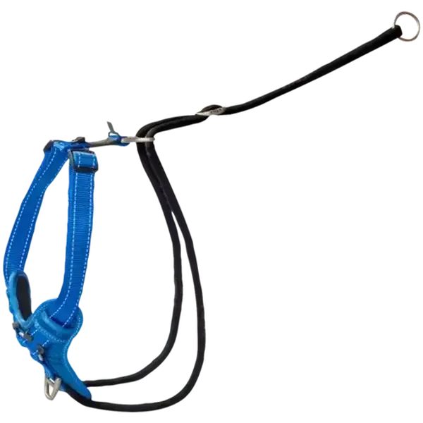 Rogz Extra Large Blue Stop Pull Dog Harness
