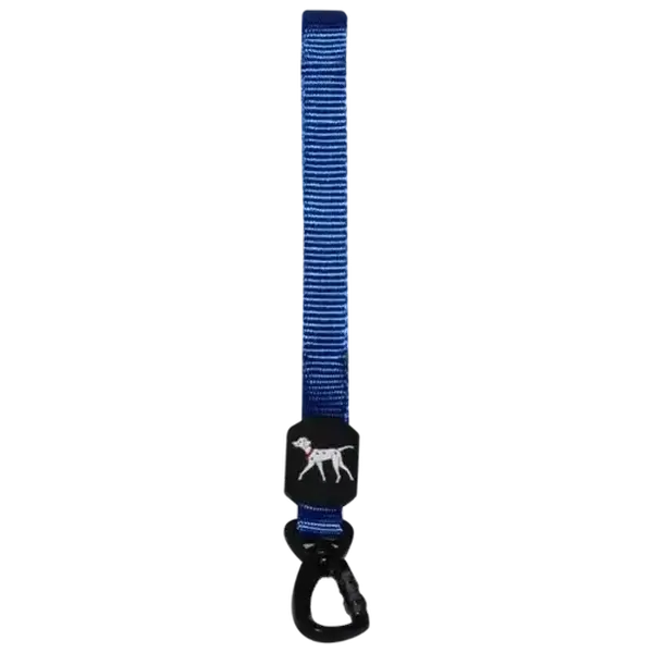 Daro Blue Nylon Dog Lead Medium