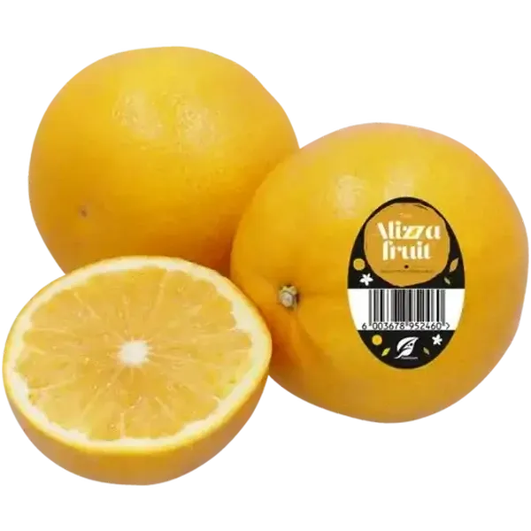 The Alizza Fruit Citrus Hybrid