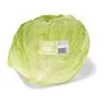 PnP Crisp Lettuce Head