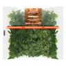 PnP Herbs Parsley Bulk 80g