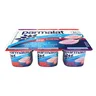 Parmalat Strawberry & Mixed Berry Dairy Snack 6 x 100g