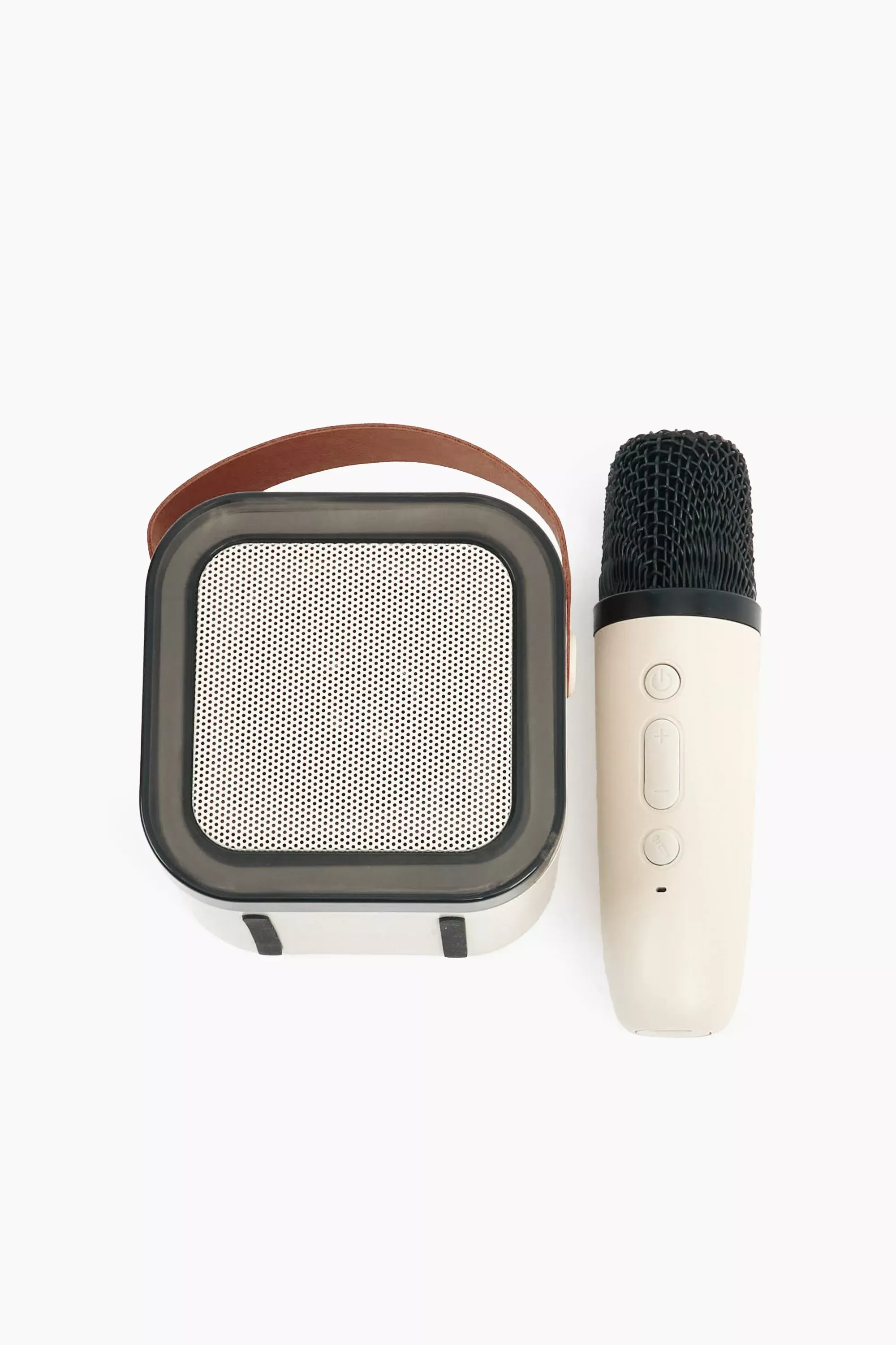 Microphone + Speaker Set