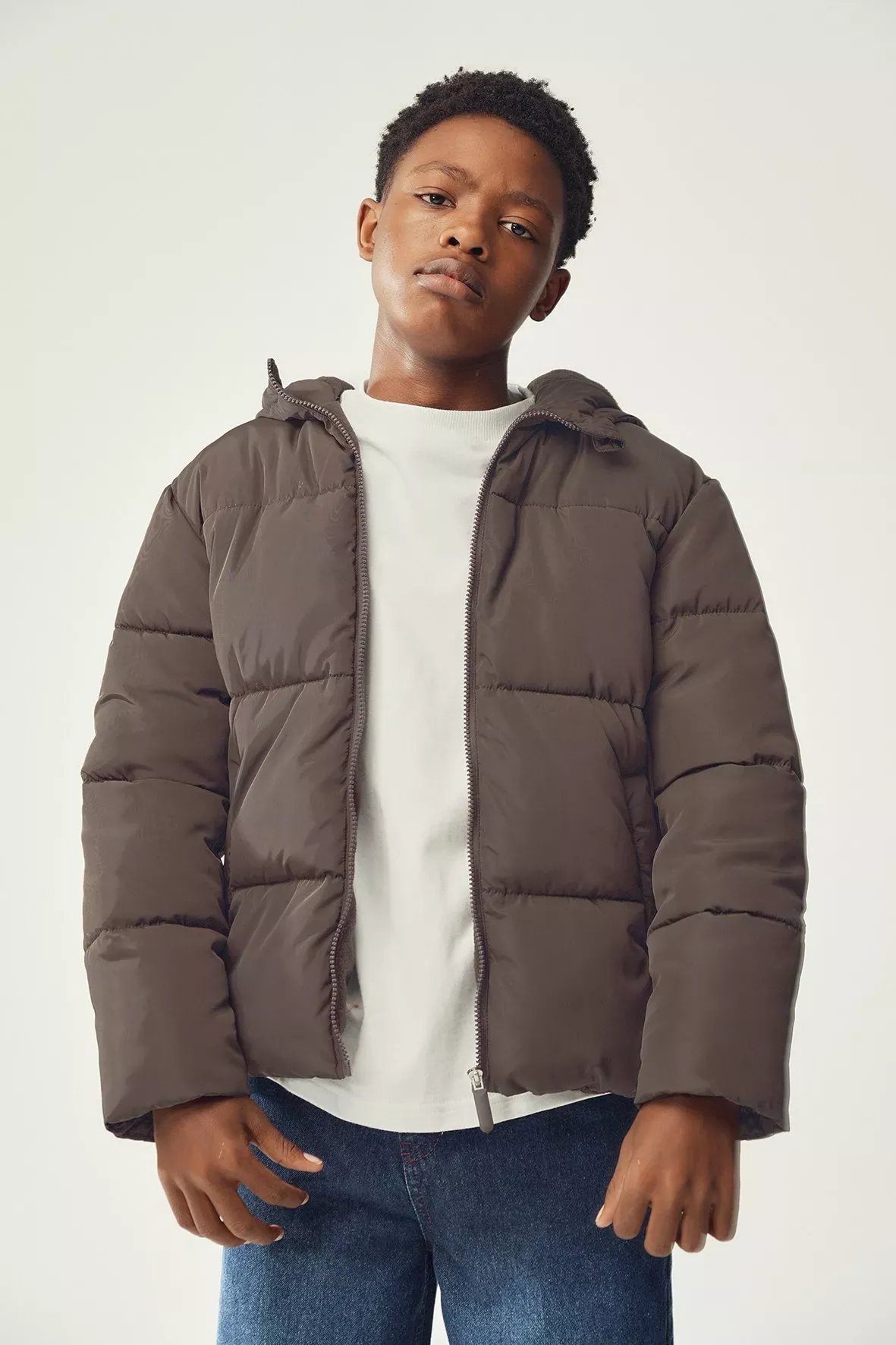 Hooded Puffer