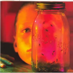 Jar Of Flies (CD)
