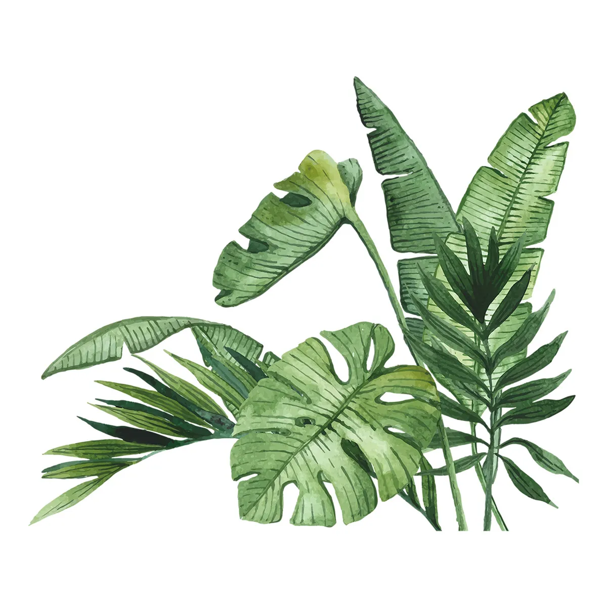 Watercolor Tropical Monstera & Banana Leaf Wall Sticker & Wall Decal