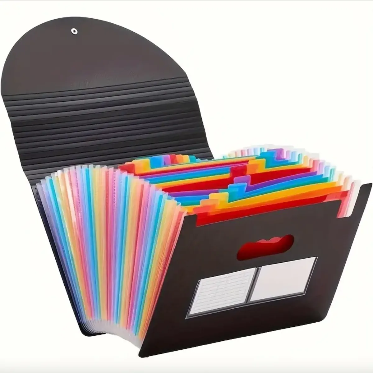 25 Pockets Expanding File Organizer