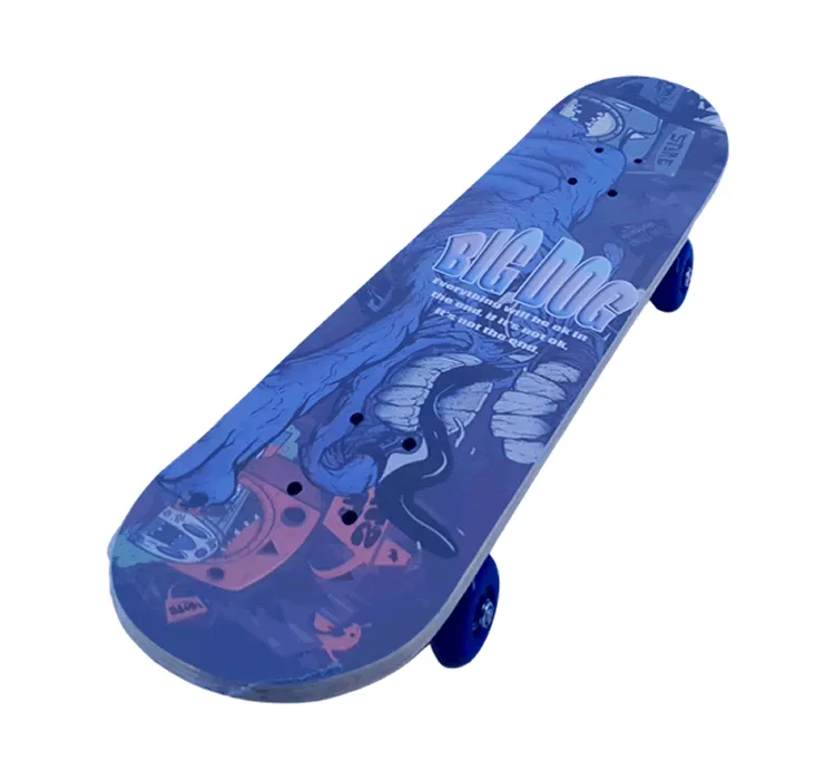 Urban Cruiser Skateboards-70cm